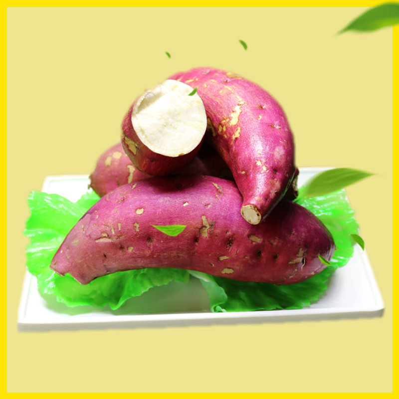 东北特产番薯包邮辽宁直发蔬菜