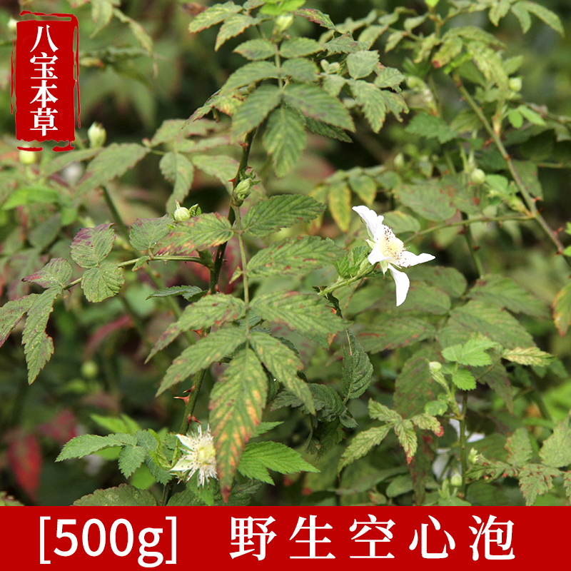 野生中草药新鲜空心泡500g包邮七叶饭消扭 龙船泡白花