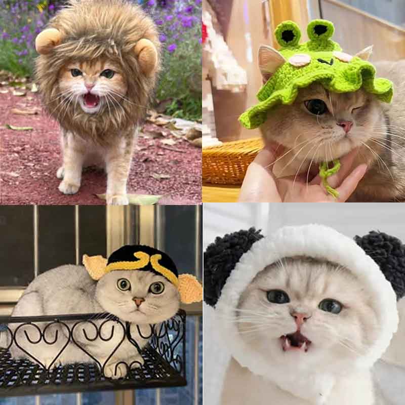 亚马逊猫咪狮子头套小型犬