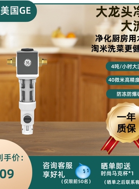 美国 GE 前置过滤器 手动清洁5吨 过滤器 GEEP-40A05 总代清仓
