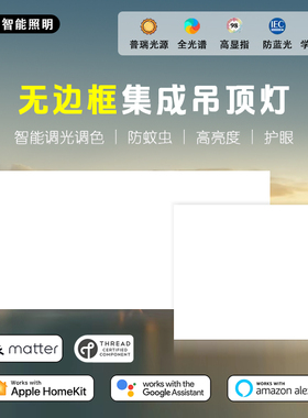 Matter Thread集成吊顶灯300x600无边框平板灯智能Homekit Alexa