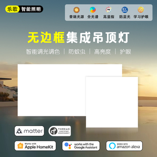 Matter Thread集成吊顶灯300x600无边框平板灯智能Homekit Alexa