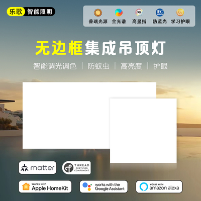 Matter Thread集成吊顶灯300x600无边框平板灯智能Homekit Alexa