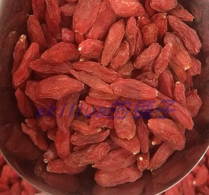 宁夏中宁县特产 2026散装枸杞250g头茬(280粒)散装农产品 ekillua