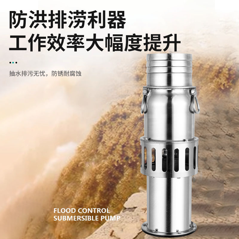 不锈钢永磁高扬程潜水泵