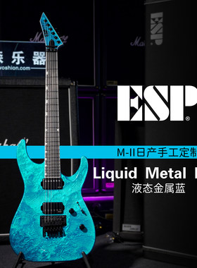 ESPM-IICTMFR液态金属蓝电吉