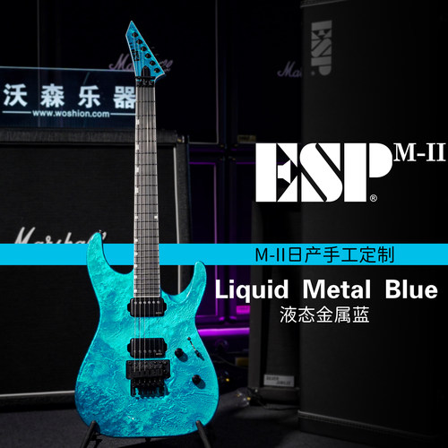ESPM-IICTMFR液态金属蓝电吉