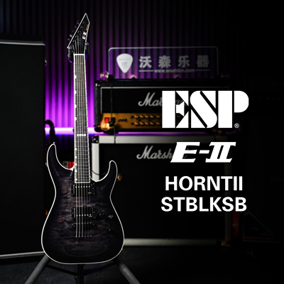 ESP E-II HORIZON NT-II STBK 日产 穿体固定 絮状枫木 主动