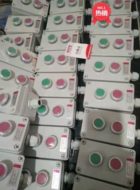 两联防水开关IP65防尘防溅按钮2位防误操作起停控制盒ADAH按钮盒