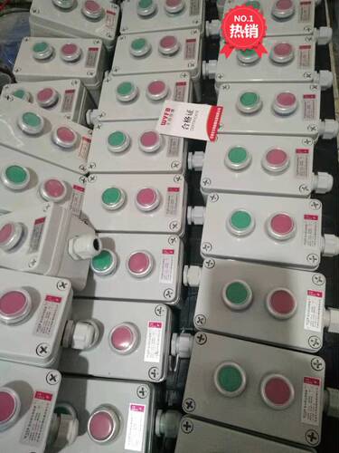 两联防水开关IP65防尘防溅按钮2位防误操作起停控制盒ADAH按钮盒