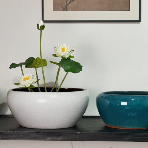 水培花盆碗莲莲花盆陶瓷铜钱草盆