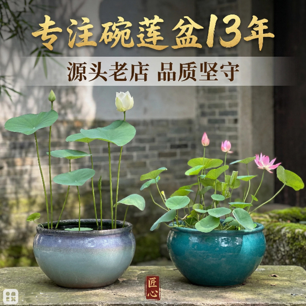 多款大号无孔盆碗莲专用盆深莲花盆睡莲一叶莲缸铜钱草复古陶瓷盆