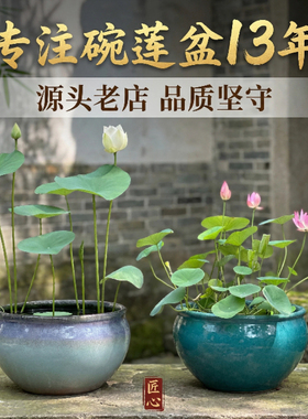 多款大号无孔盆碗莲专用盆深莲花盆睡莲一叶莲缸铜钱草复古陶瓷盆