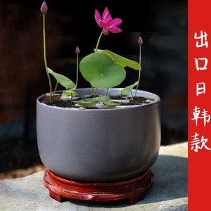 瑕疵处理多款碗莲花盆专用盆深莲花盆睡莲一叶莲缸铜钱草陶瓷花盆