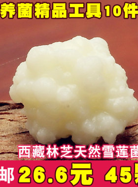 天山雪莲酸奶开菲尔雪莲菌种