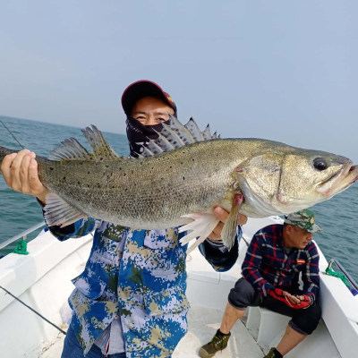 路亚饵侍魂浮水米诺13g18g26克淡水鲈鱼翘嘴海钓海鲈海狼杀手假饵