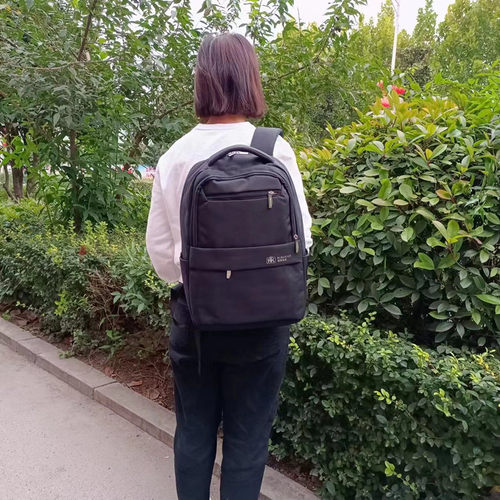 璐璐凯帝商务男士双肩背涤纶布