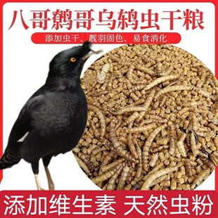 乌鸫专用粮食精品营养鹩哥鸟食海八黑八专用鸟粮鸟饲料