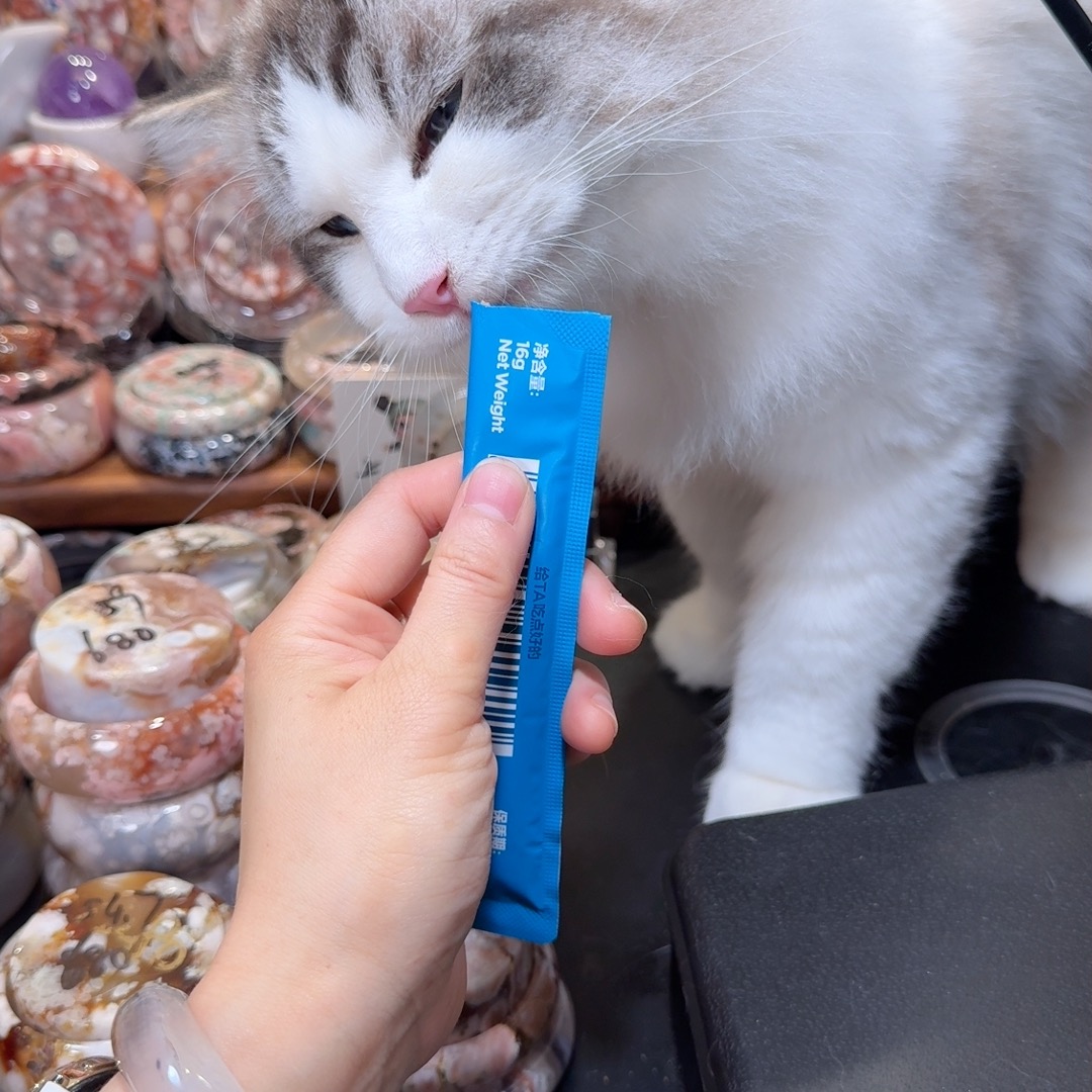 投喂小猫咪专用链接