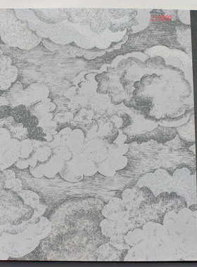 荷兰进口无纺布儿童房飞向太空墙纸219260 219262 219263 219264