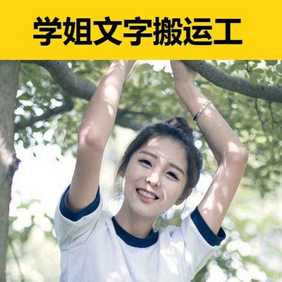 代写文章撰写演讲稿英文英语润色读后感报告征文文献文案代笔服务