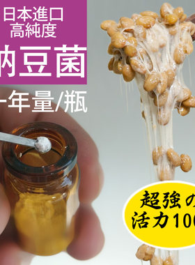 纳豆工坊日本专业纳豆发酵菌高菌力高活性专用纳豆菌家用发酵粉