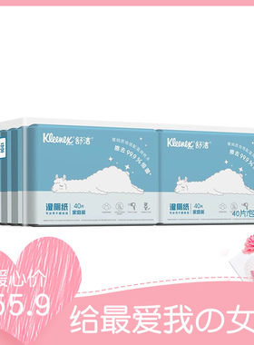 姨妈好伴侣舒洁湿厕纸40片10包