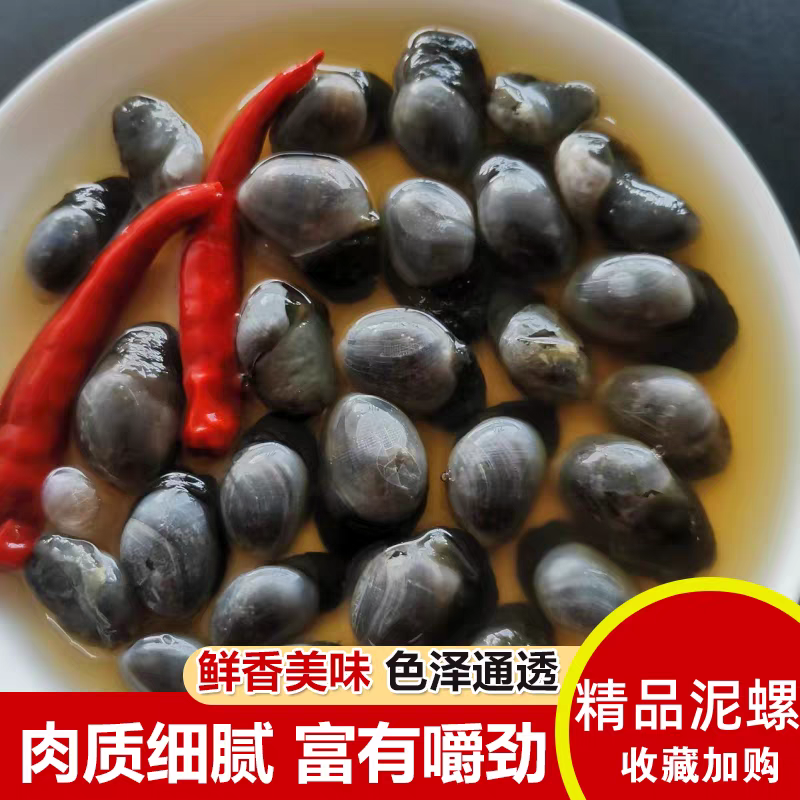 醉泥螺即食泥螺新鲜鲜活海产海鲜水产海螺海产品海味海产品桶装