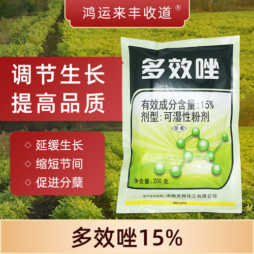 天邦15%多效唑矮化剂控旺分蘖