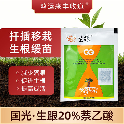 生跟20%萘乙酸生根粉促生根