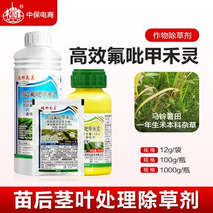 瑞邦高盖28氟吡甲禾灵马铃薯土豆田一年生禾本科杂草除草剂