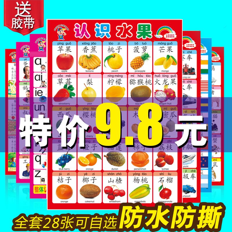 生字表幼儿园认知识字卡儿童识字挂图全套墙贴早教中班小班动物