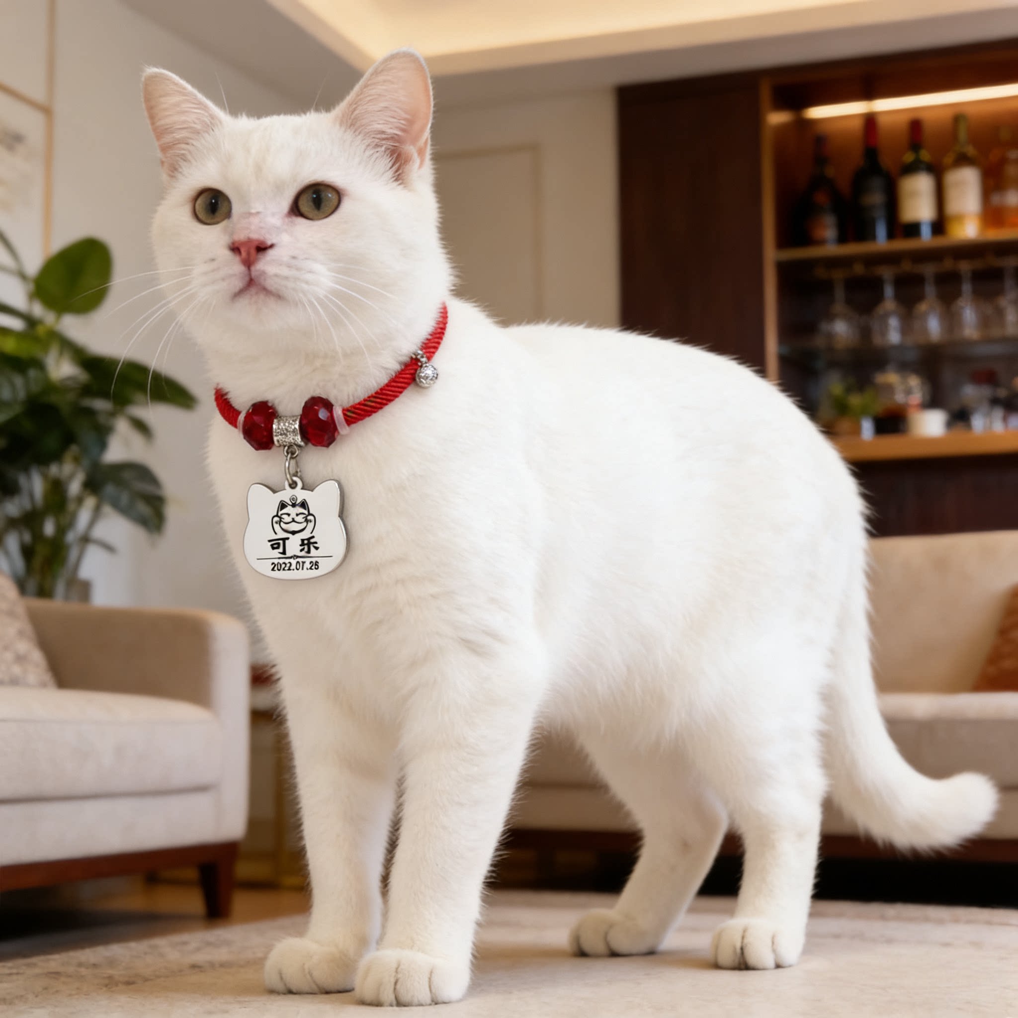 水晶宠物项链狗狗铭牌猫牌狗牌红绳防丢挂牌刻字猫咪项圈名字定制