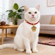 猫咪新年项圈小狗长命锁项链脖圈红绳大狗装 饰宠物挂牌猫可爱礼物