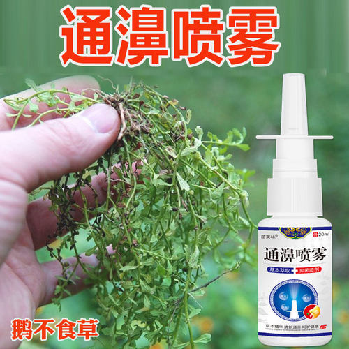 通濞喷雾专用苗家正品鹅不食草