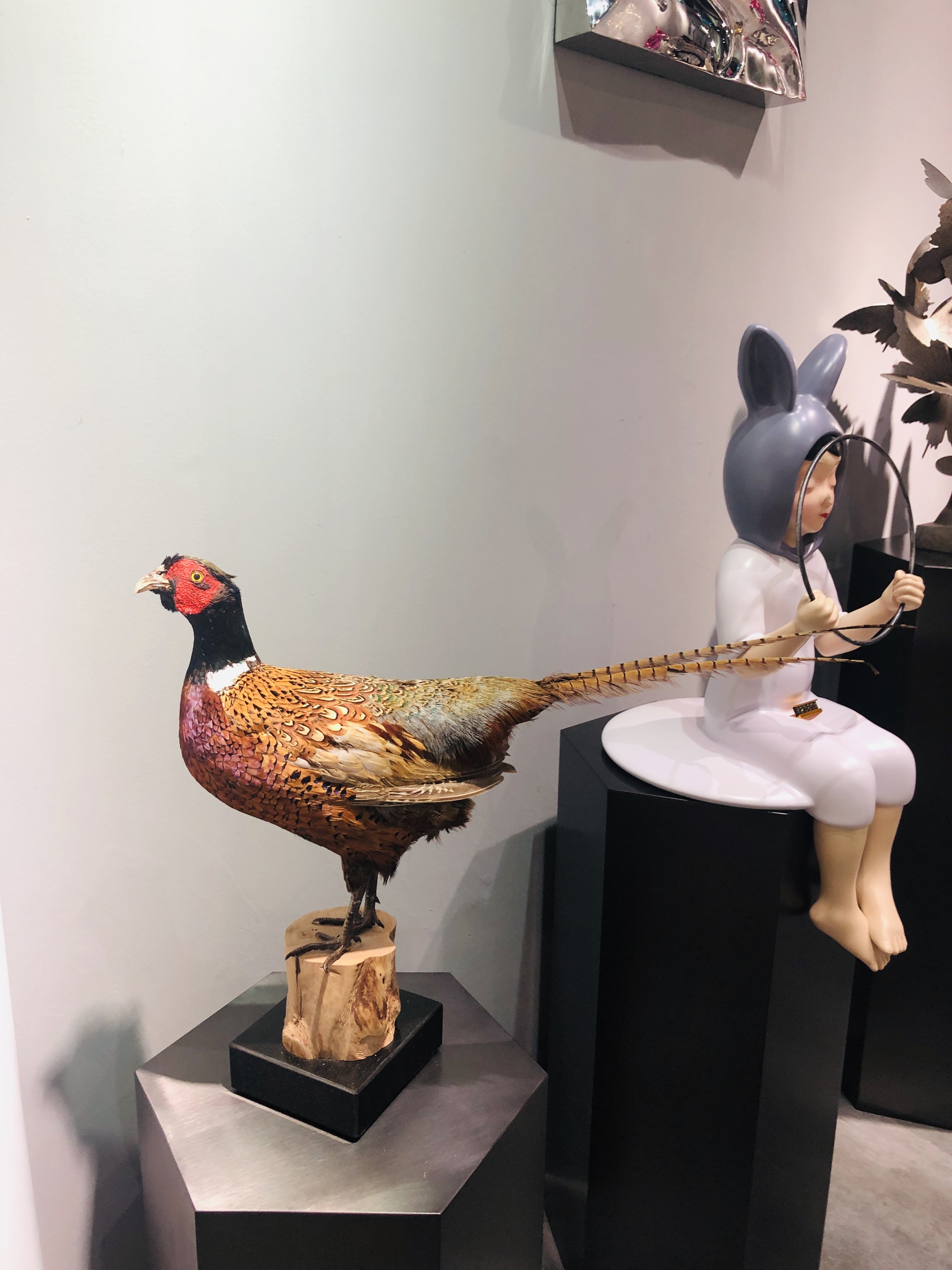 11年老店专业标本大师制作人工养殖山鸡小鸟标本园林摆设工艺品鸡