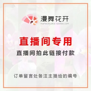【漫舞花开】蝴蝶兰直播专用链接蝴蝶兰洋兰开花石斛