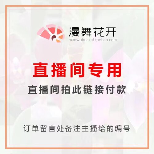 花开蝴蝶兰直播包对版开花苗