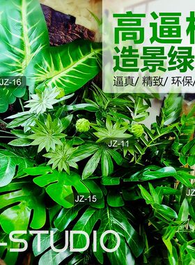 大号真绿植 爬虫箱陆龟蜥蜴蛙守宫造景装饰假植物