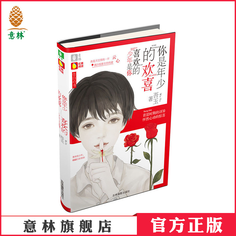 [意林图书]你是年少的欢喜 喜欢的少年是你 意林告白的书系列 青春校园文学 青少年读物 人气作家吾玉作品  意林官方直营店