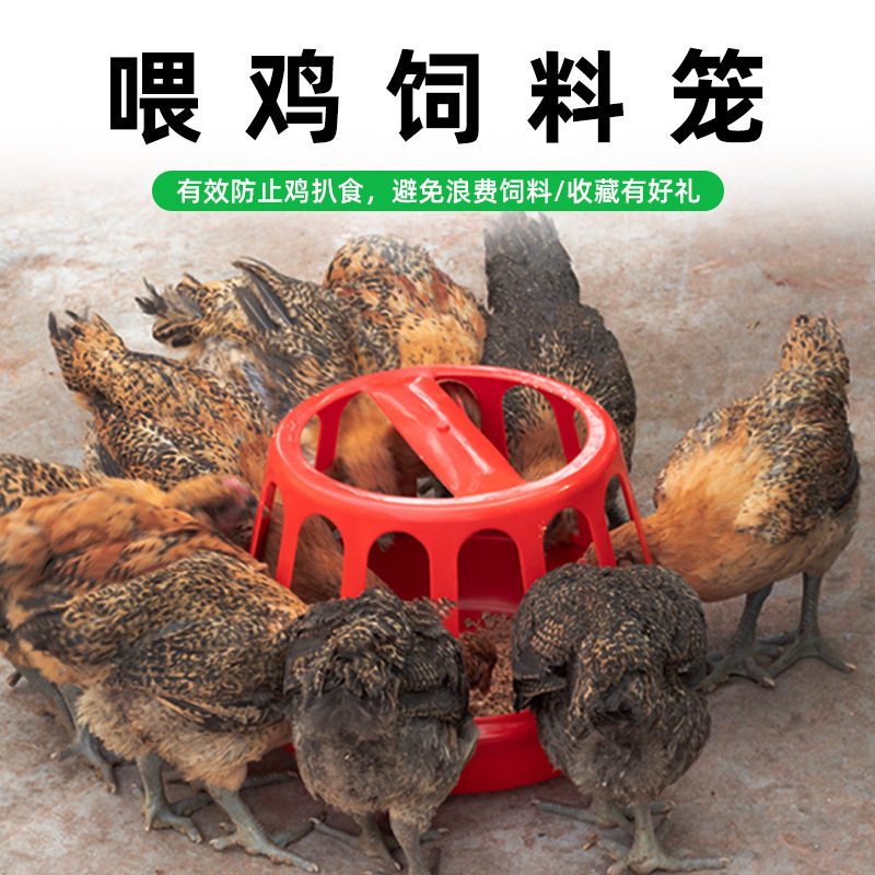 喂鸡食槽水槽一体家禽分位采养鸡神器鸡鸭鹅全牛筋打不翻料槽圆形
