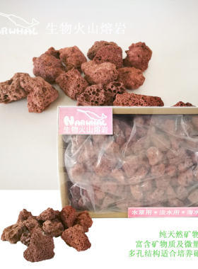 Narwhal纳乐生物火山熔岩1L 鱼缸过滤材料净水培菌细菌屋火山石