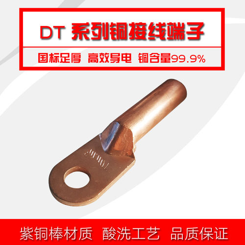 DT铜鼻子DT10电缆铜接头铜线耳铜接线端子电缆铜接线鼻DT70铜鼻子