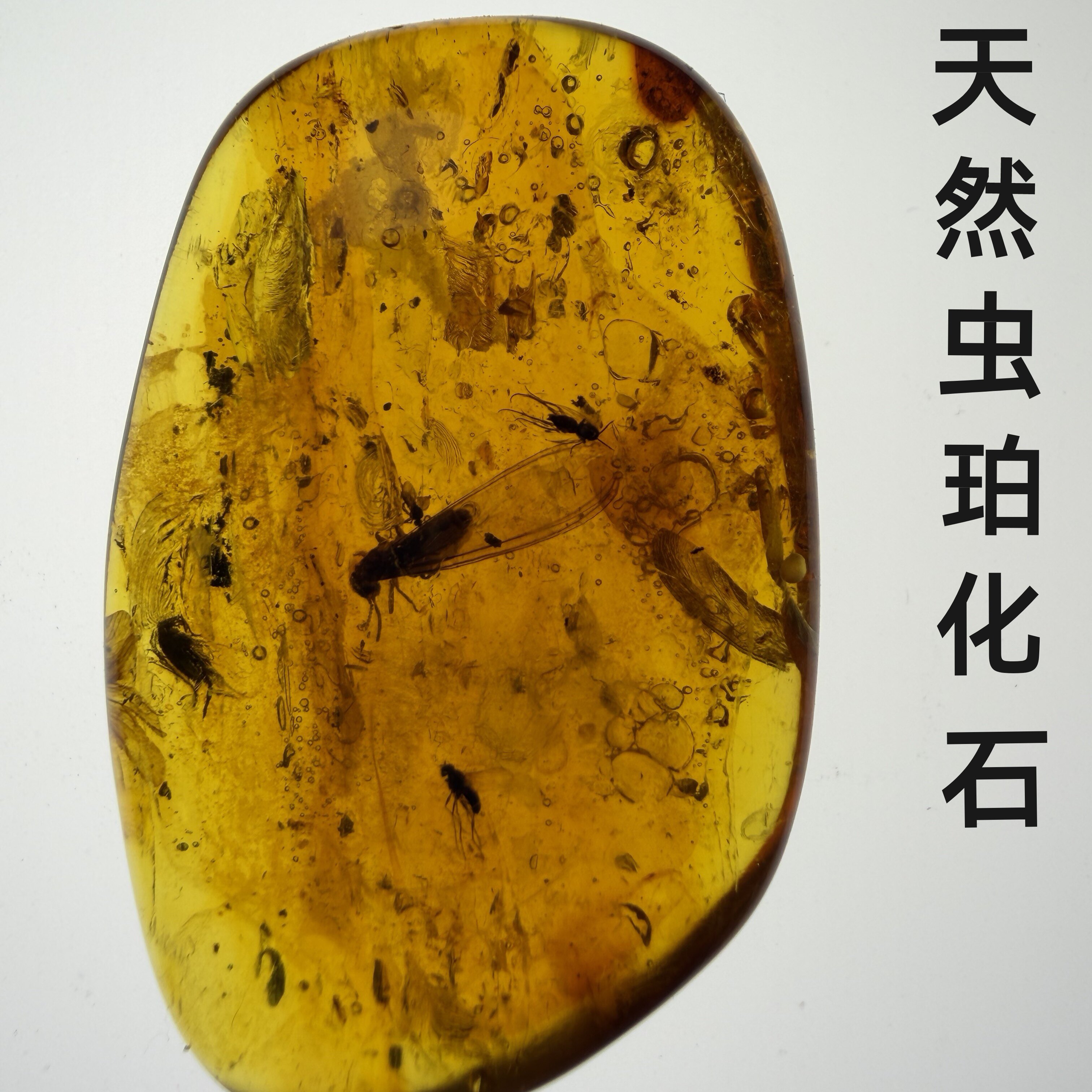 逸珀 天然原矿虫珀琥珀化石昆虫标本灵珀教学收藏风景花珀孤品