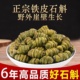 正宗铁皮石斛枫斗铁皮石斛种植石斛颗粒250g500g 包邮 可直播磨粉