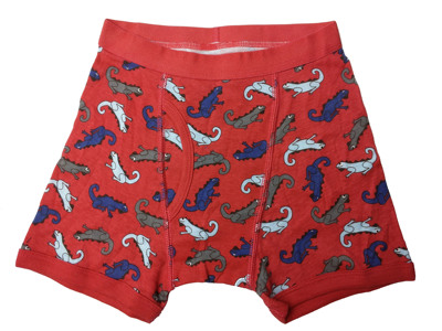 男童全棉平脚内裤