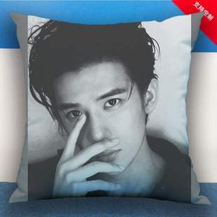 王安宇周边抱枕梦回海报照片印制双面高清女生日礼物汽车靠枕头