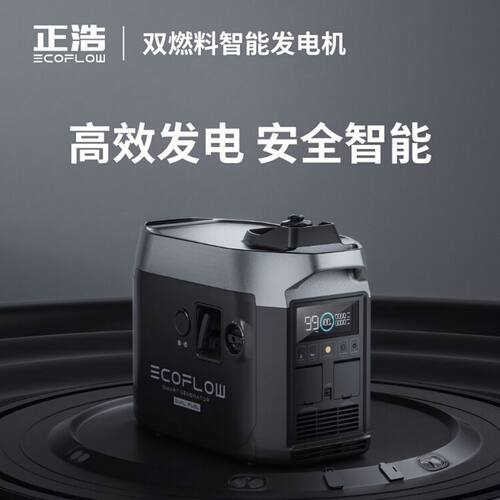 EcoFlow正浩双燃料智能发电机