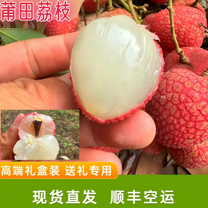 福建莆田荔枝状元礼盒红顺丰空运岵山糯米糍小籽新鲜采摘现摘现发