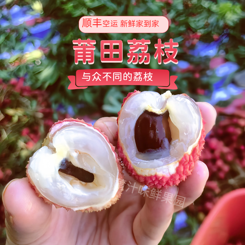 顺丰空运莆田荔枝新鲜水果状元红籽小肉多礼盒装高端送礼整件批发